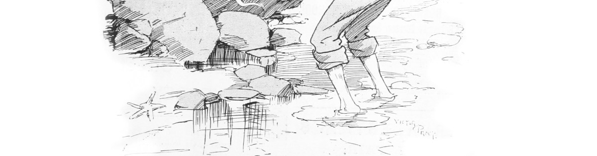 The End of the&nbsp;Day