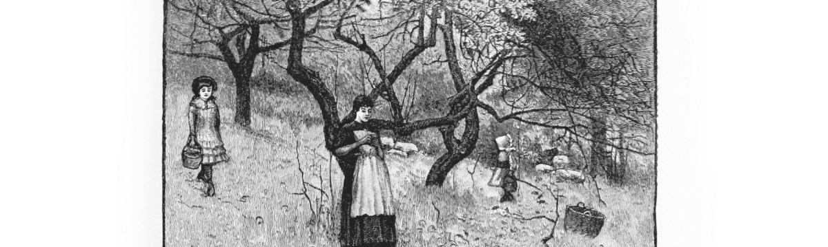 An Interview with Maria&nbsp;Sledmere